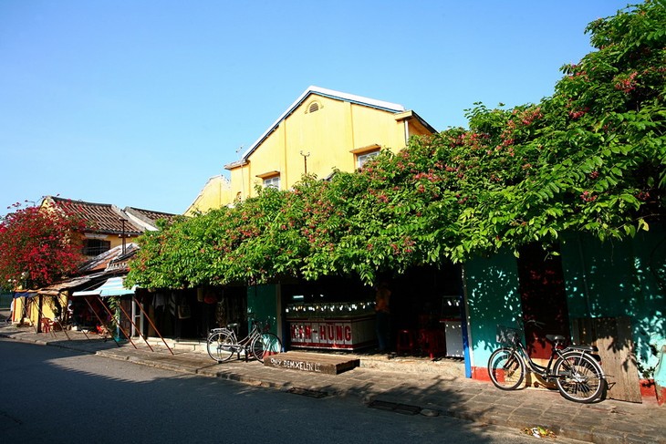 Altstadt von Hoi An und Begrünung - ảnh 2