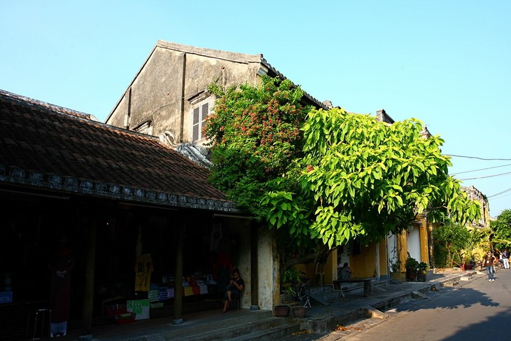 Altstadt von Hoi An und Begrünung - ảnh 3