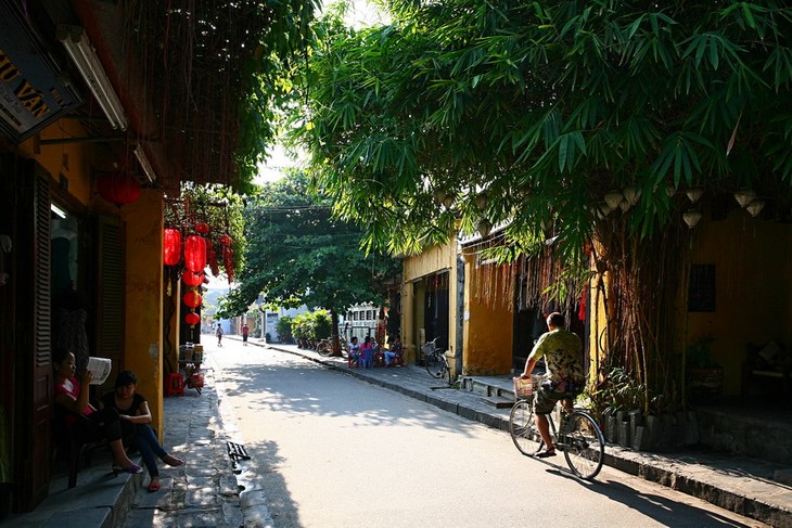 Altstadt von Hoi An und Begrünung - ảnh 6