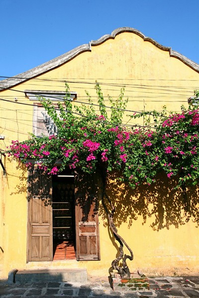 Altstadt von Hoi An und Begrünung - ảnh 8