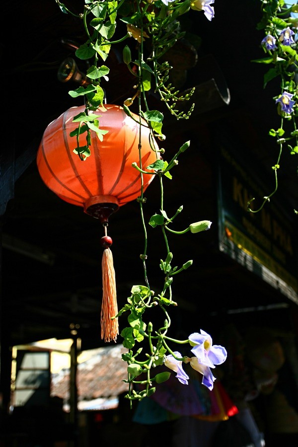 Altstadt von Hoi An und Begrünung - ảnh 9