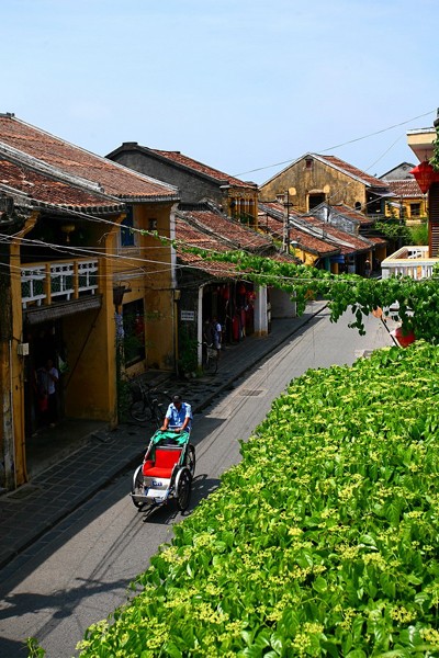 Altstadt von Hoi An und Begrünung - ảnh 11