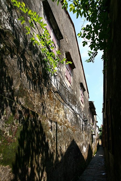 Altstadt von Hoi An und Begrünung - ảnh 12