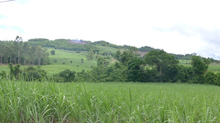 Lebensänderung in einer Gebirgsgemeinde in Phu Yen - ảnh 1