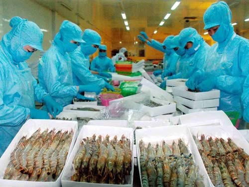 USA verhängen keine Antisubventionszölle auf vietnamesische Garnelen - ảnh 1