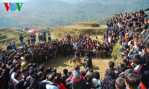 Frühlingsfest Gau Tao am Bergfuß Hoang Lien - ảnh 2