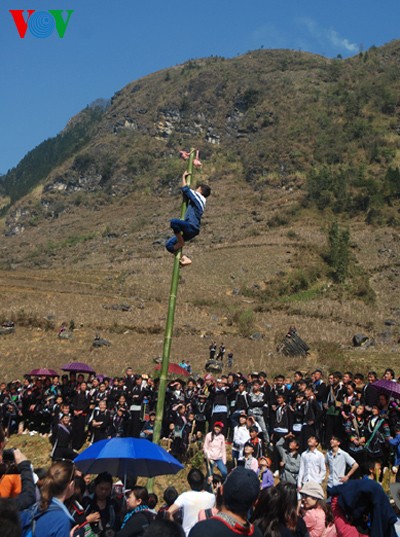 Frühlingsfest Gau Tao am Bergfuß Hoang Lien - ảnh 8