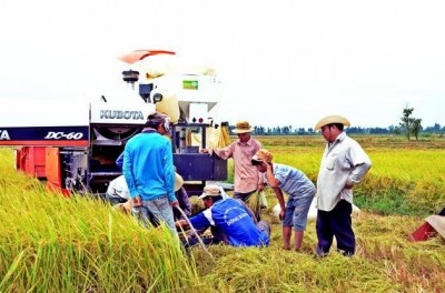 Mekong-Delta will 2014 die Anzahl armer Haushalte stark reduzieren - ảnh 1