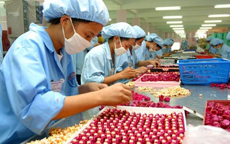 Patriotismus-Wettbewerbe in der heutigen Zeit  - ảnh 1