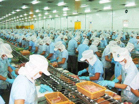 Gute Zeichen für den Export im ersten Halbjahr - ảnh 1