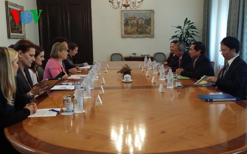 Politische Beratungen zwischen Außenministerien Vietnams, Sloweniens und Kroatiens - ảnh 1