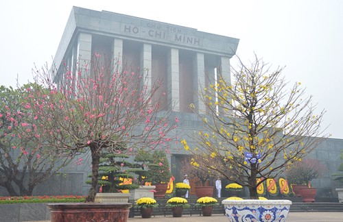 Fast 25.000 Besucher im Ho Chi Minh-Mausoleum zum Tetfest - ảnh 1
