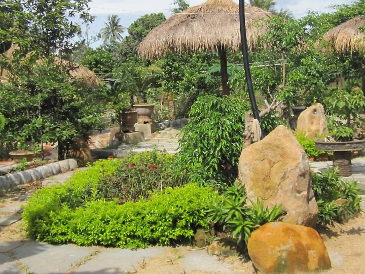 Die Cafés in Buon Ma Thuot - ảnh 1