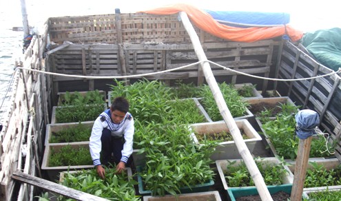 Das neue Leben im Inselkreis Truong Sa in Khanh Hoa - ảnh 2