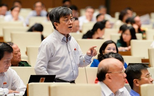 Parlament diskutiert Entwurf des Untersuchungshaftgesetzes - ảnh 1