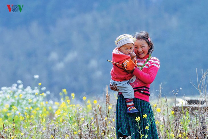 Wunderbare Frühlingsmomente in Lung Cu - ảnh 2