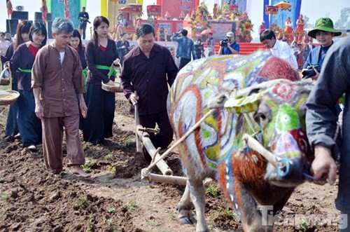 Frühlingsfeste in Nordvietnam - ảnh 1