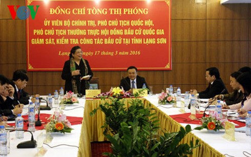 Vorbereitung für Parlaments- und Volksratswahl in Provinzen überprüfen - ảnh 1