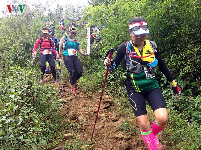 Eindrücke vom Bergmarathon in Sapa - ảnh 5