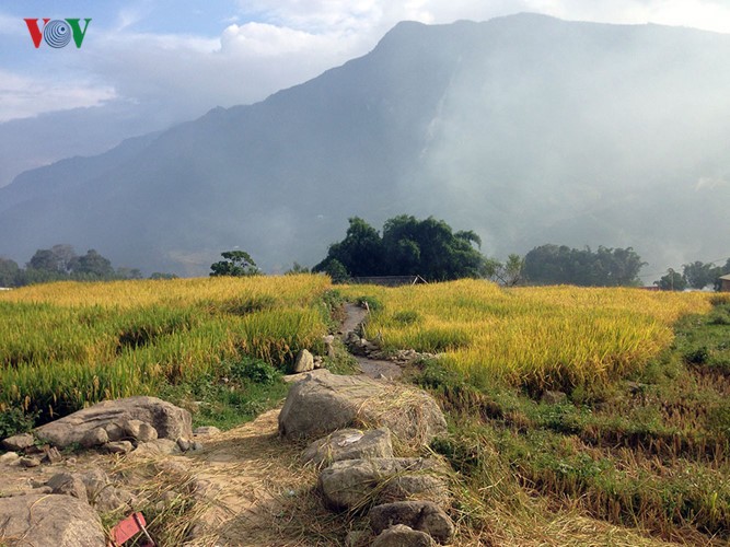 Eindrücke vom Bergmarathon in Sapa - ảnh 9