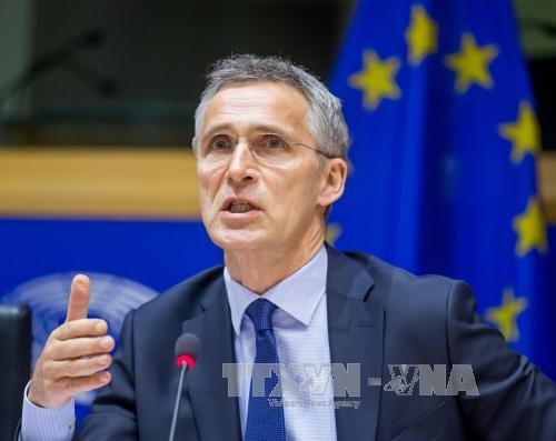 Stoltenberg: Einige Nato-Mitglieder unterstützen Allianz gegen den IS - ảnh 1