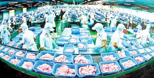 Vietnams Pangasius in die USA werden verstärkt kontrolliert - ảnh 1
