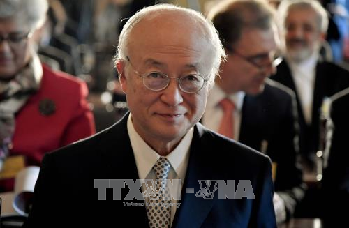 IAEA bestätigt die Erfüllung des Atomabkommens durch Iran - ảnh 1