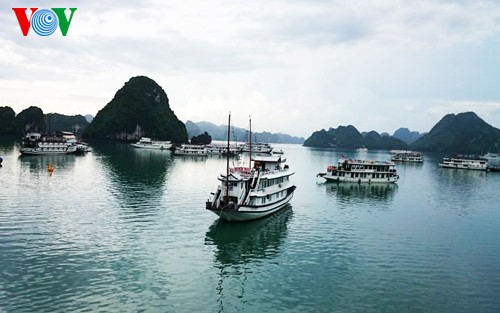 Aufklärung zum Schutz des Erbes der Halong-Bucht in die Schulen bringen - ảnh 1