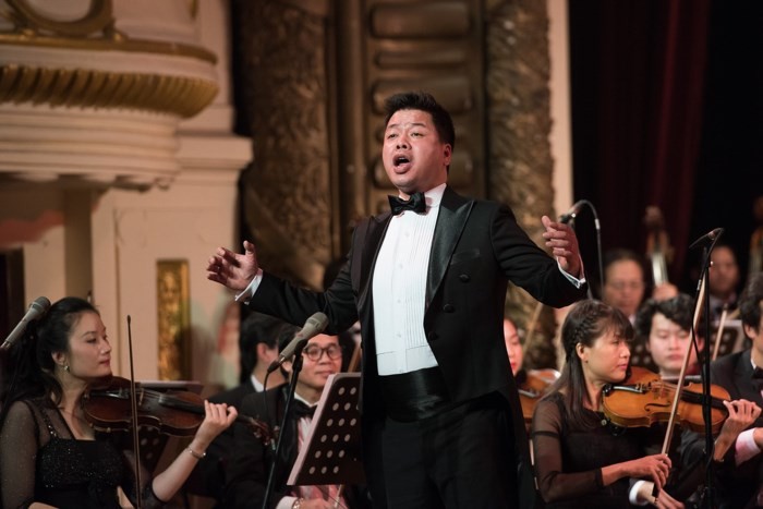 Das Programm „V-Concert: Konzert zum Neujahr“ - ảnh 1