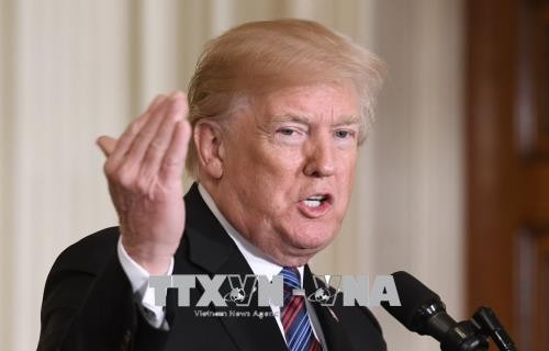 Trump kündigt Raketenangriff auf Syrien an - ảnh 1