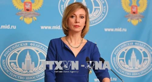 Russland sorgt sich um Aufstockung des US-Verteidigungsbudgets - ảnh 1