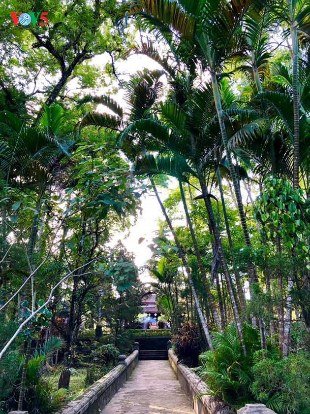 Tu Hieu – eine alte Pagode in Hue - ảnh 4