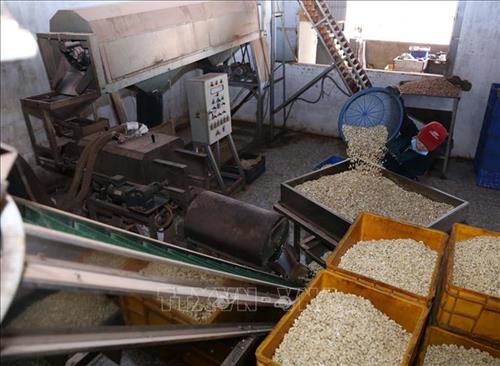 Mehr als 400 Millionen Euro in Verarbeitung landwirtschaftlicher Produkte investiert - ảnh 1