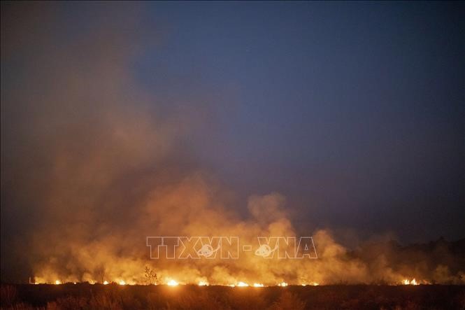 Amazonas-Waldbrand ist keine Angelegenheit jedes einzelnen Lands - ảnh 1