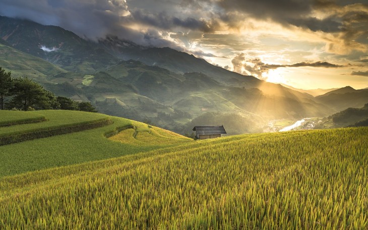 Tourismuswoche der Reisterrassen in Hoang Su Phi und Tee-Kochen-Wettbewerb 2019 - ảnh 1