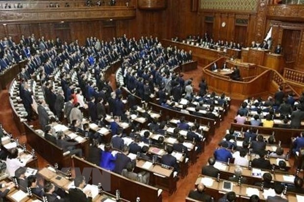 Japans Parlament billigt Handelsvereinbarung mit den USA - ảnh 1
