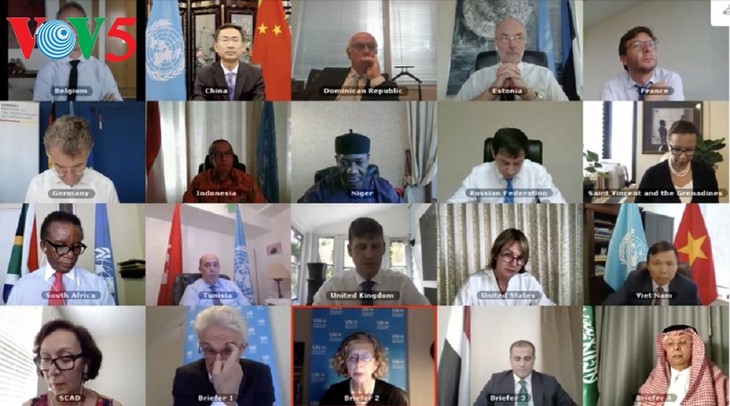 Vietnam unterstützt Drei-Punkte-Friedensplan des UN-Sondergesandten für Jemen - ảnh 1