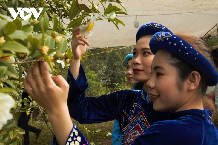Herbstblühende Kamelie in der Grenzregion Binh Lieu in Quang Ninh - ảnh 8