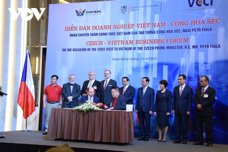 Vietnam-Tschechien-Unternehmensforum - ảnh 1