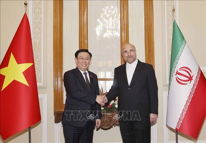 Pressekonferenz von Parlamentspräsident Vuong Dinh Hue und seinem iranischen Amtskollegen Mohammad Ghalibaf - ảnh 1