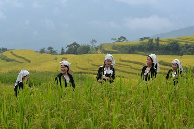 Einzigartige Feierlichkeiten beim Erntefest Hong Thai 2023 - ảnh 1