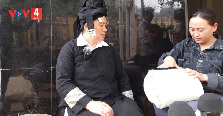 Das Anpflanzen von Baumwolle für die Weberei der Thu Lao – Nationales immaterielles Kulturerbe  - ảnh 1