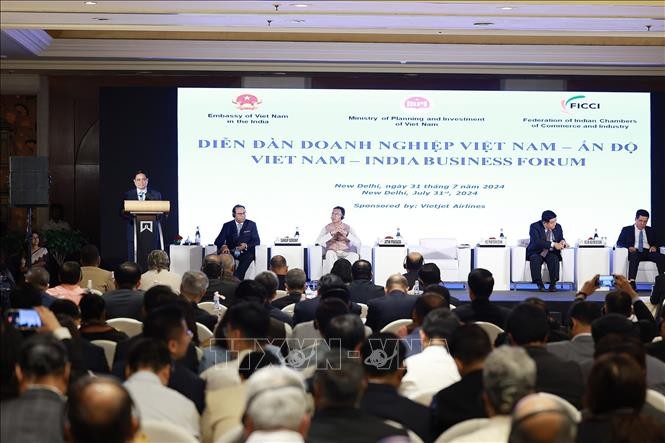 Premierminister Pham Minh Chinh nimmt an Vietnam-Indien-Unternehmensforum teil - ảnh 1