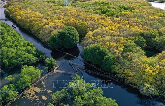 Biosphärenreservate zu Mustern für nachhaltige Entwicklung aufbauen - ảnh 1