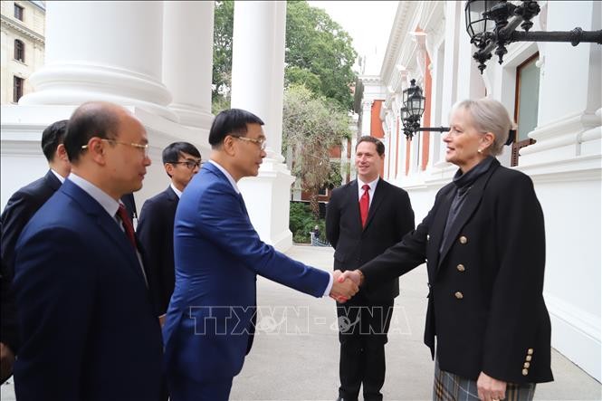 Stärkung der parlamentarischen Zusammenarbeit zwischen Vietnam und Südafrika - ảnh 1