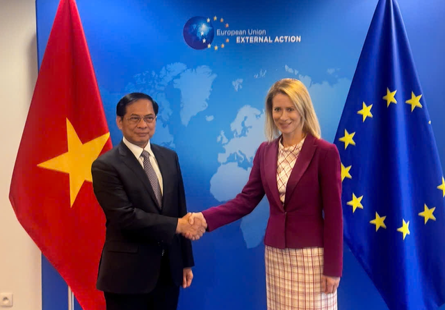 Vietnam zählt zu den wichtigsten Partnern der EU in der Region - ảnh 1