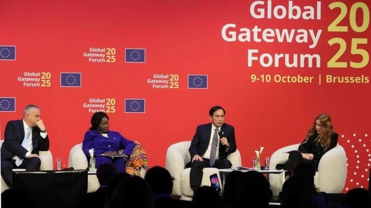 Vietnam passt sich aktiv an und bewahrt Frieden sowie nachhaltige Entwicklung - ảnh 1