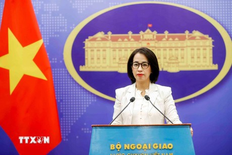 Vietnam verstärkt internationale Zusammenarbeit im Steuerbereich, auch mit der EU - ảnh 1