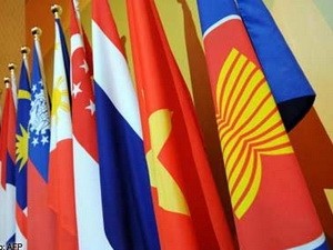 ASEAN dan Rusia menyelenggarakan pertemuan ke-11 Komite kerjasama bersama - ảnh 1