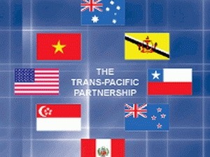 Badan usaha AS mendukung Vietnam untuk  aktif melakukan perundingan TPP - ảnh 1